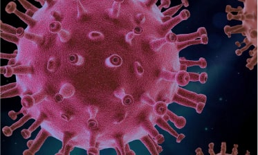 女性进入STEM领域，需要怎样的榜样力量？